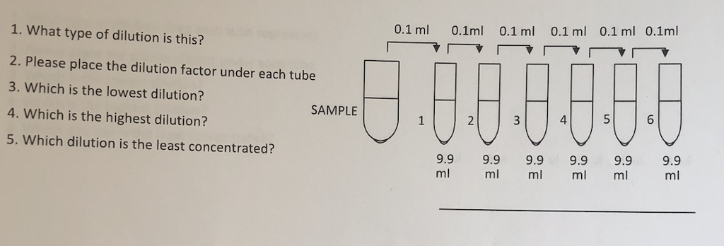 Solved 0.1 ml 0.1ml 0.1 ml 0.1 ml 0.1 ml 0.1ml 1. What type | Chegg.com