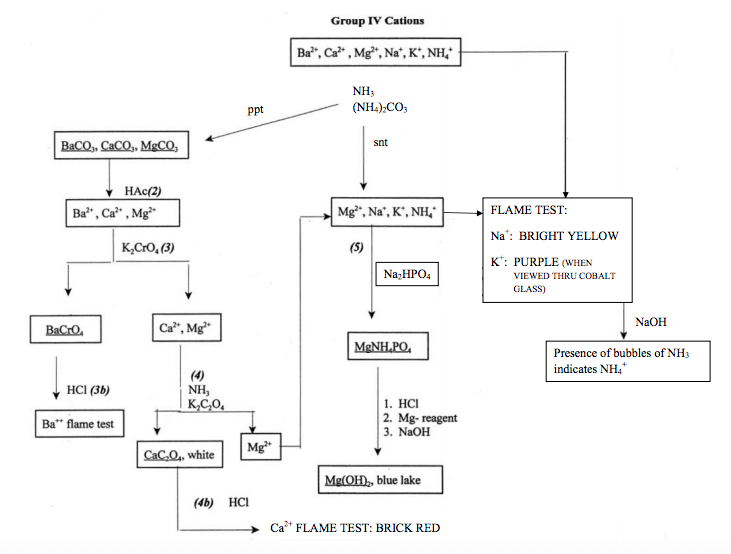 Qualitative Analysis Of Cations Flow Chart