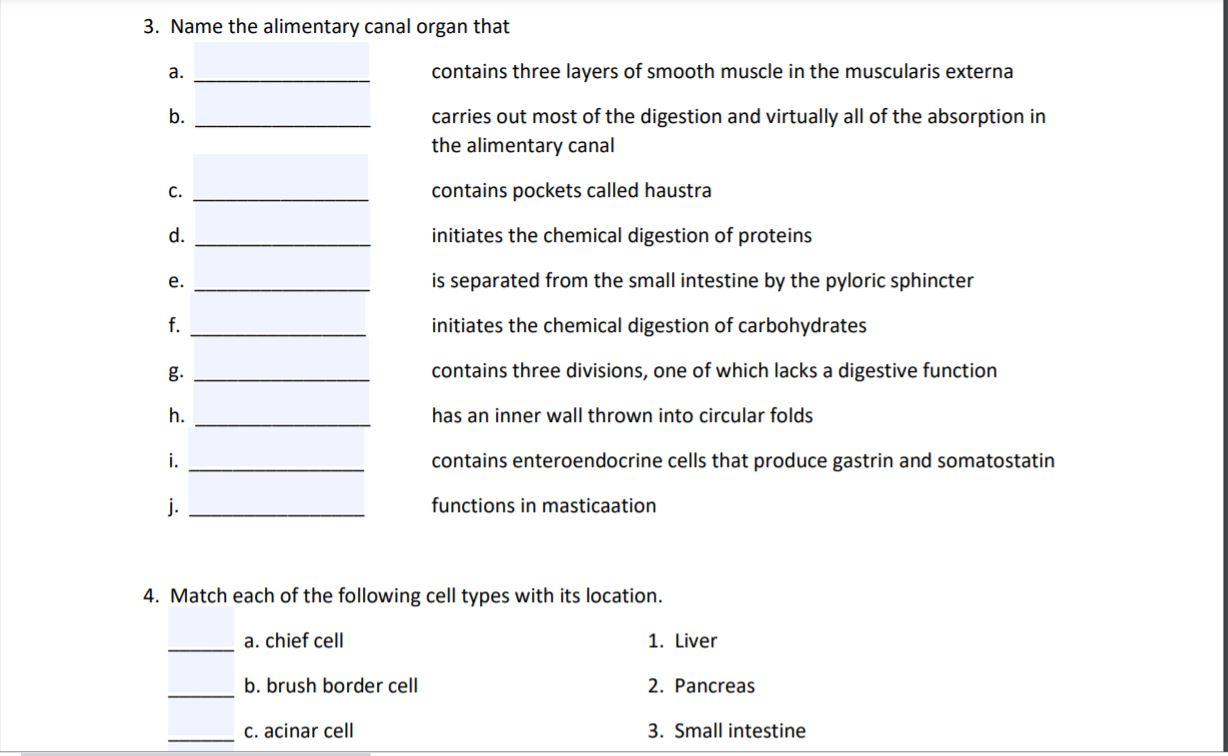 Solved Unit 27: Anatomy of the Digestive System Worksheet 1. | Chegg.com