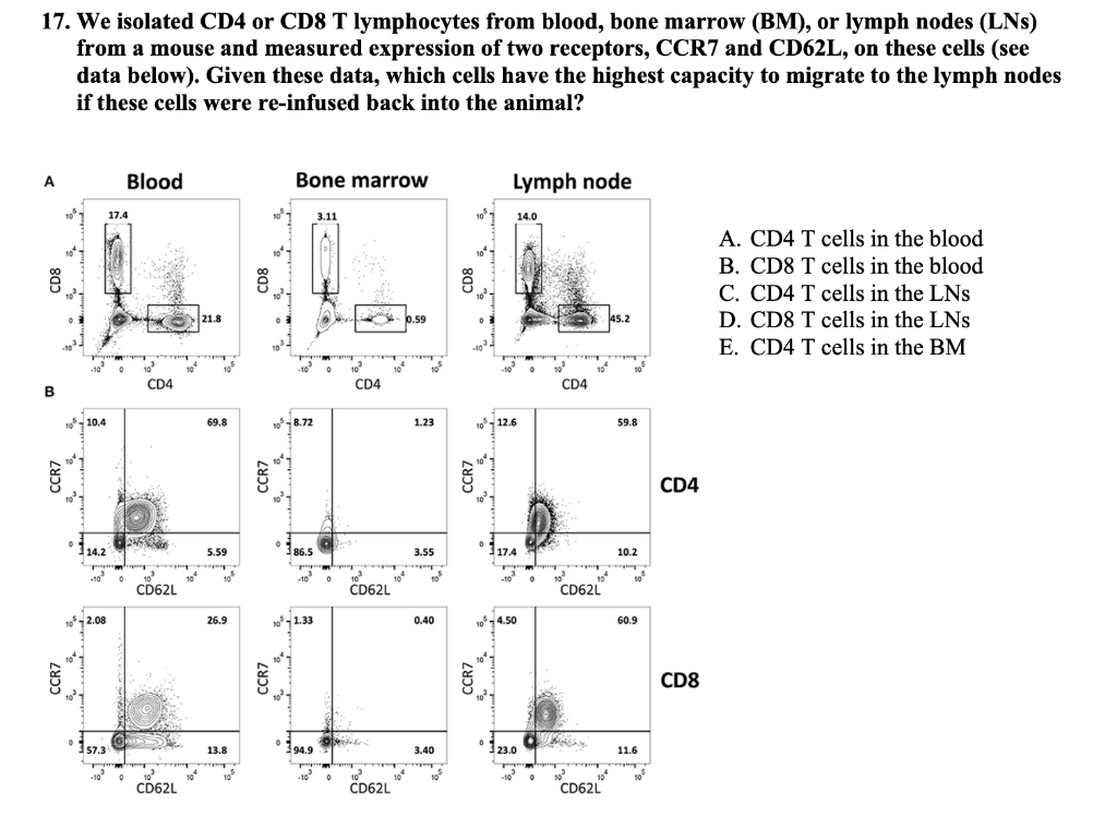 7. We isolated CD4 or CD8 T lymphocytes from blood, | Chegg.com