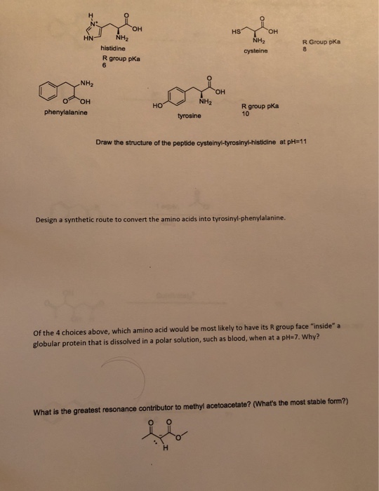 Solved HN NH2 NH2 cysteine R Group pka histidine R group pka | Chegg.com