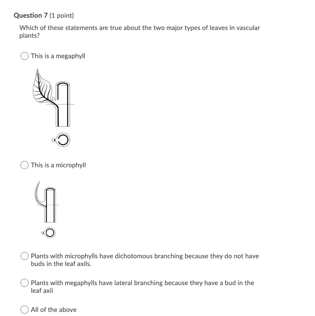Solved Question 7 (1 point) Which of these statements are | Chegg.com