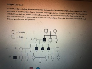 Solved Pedigree Exercise I For each pedigree below | Chegg.com