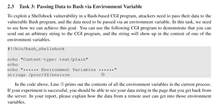 Solved 2 3 Task 3 Passing Data To Bash Via Environment Chegg Com