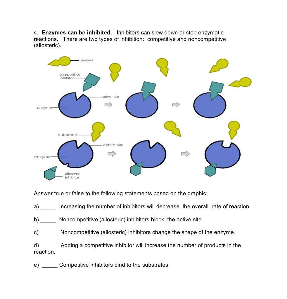 Solved 4. Enzymes can be inhibited. Inhibitors can slow down | Chegg.com