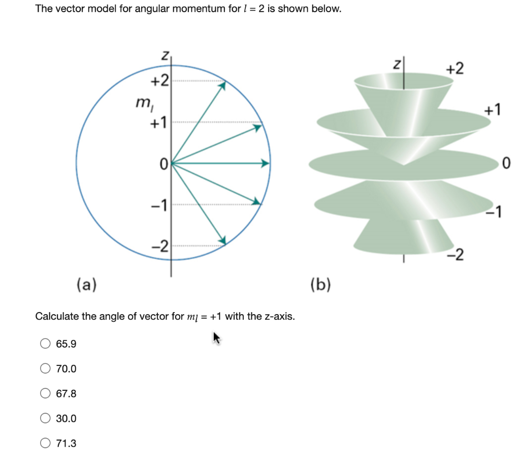 Solved The vector model for angular momentum for l=2 is | Chegg.com