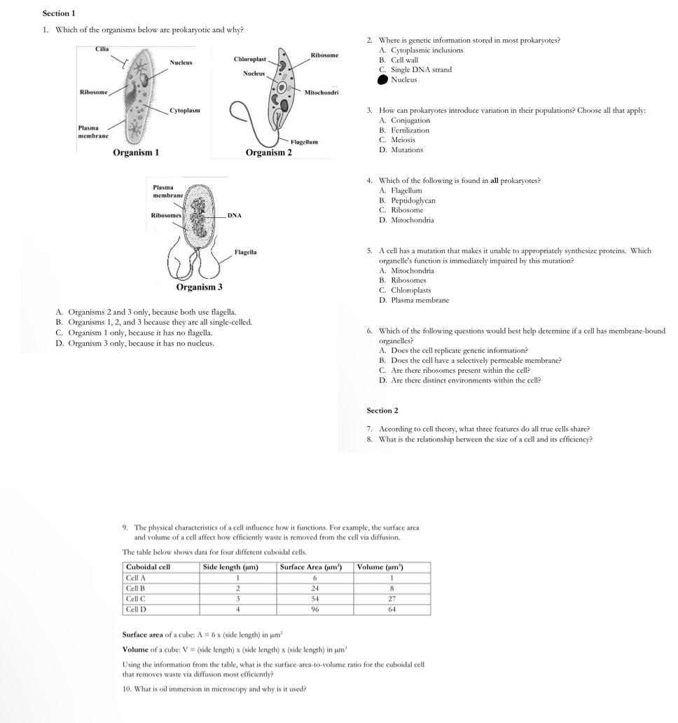 Solved Section 11 1. Which Of The Organisms Below Are | Chegg.com