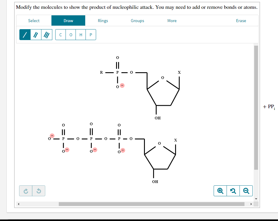 Solved Nucleotides Are Added To The 3' End Of A Growing DNA | Chegg.com