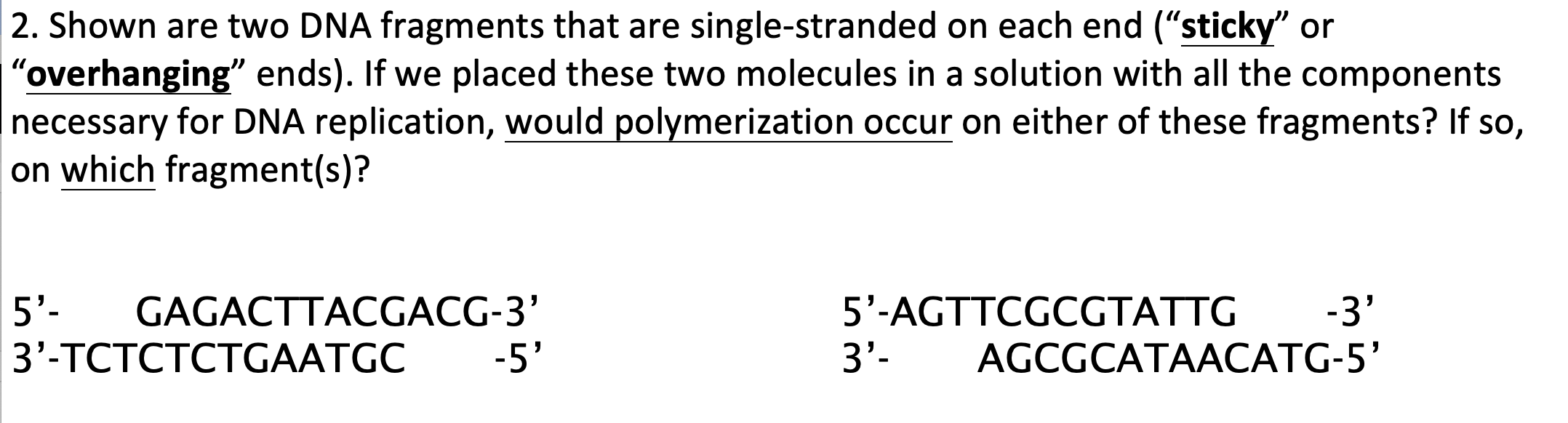 Solved 2. Shown are two DNA fragments that are | Chegg.com