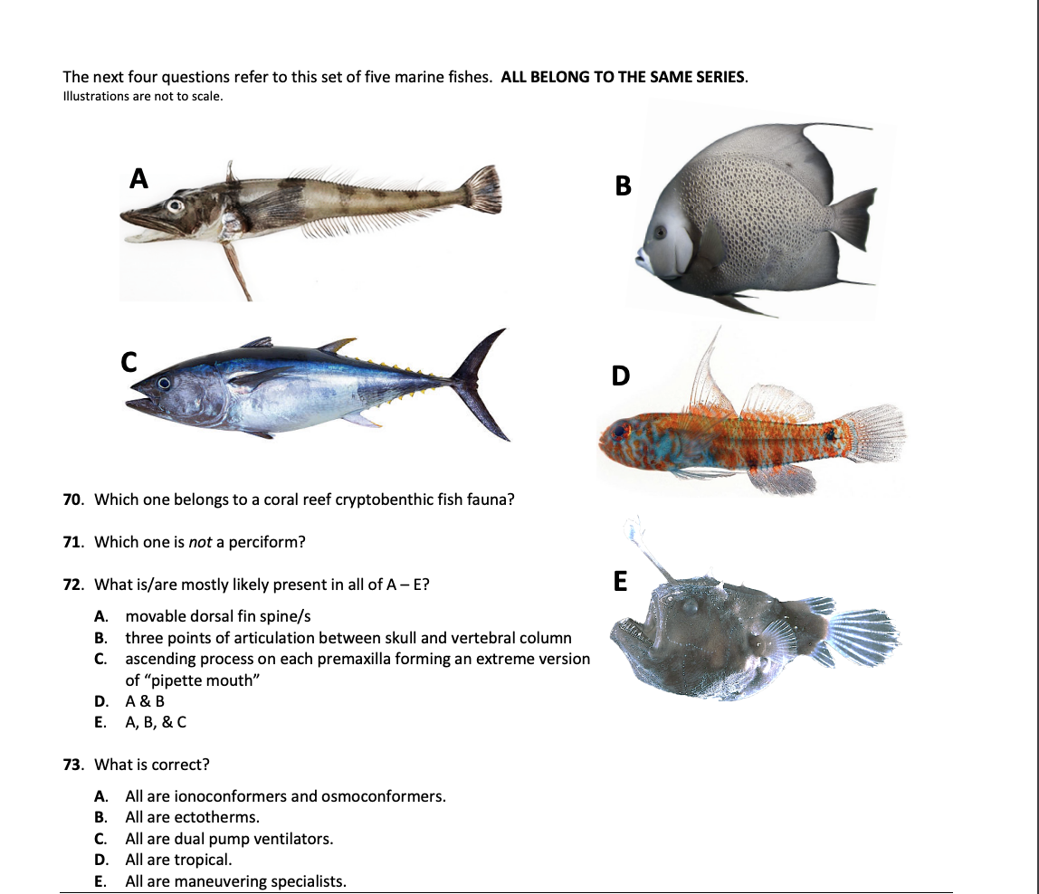 Solved The next four questions refer to this set of five | Chegg.com