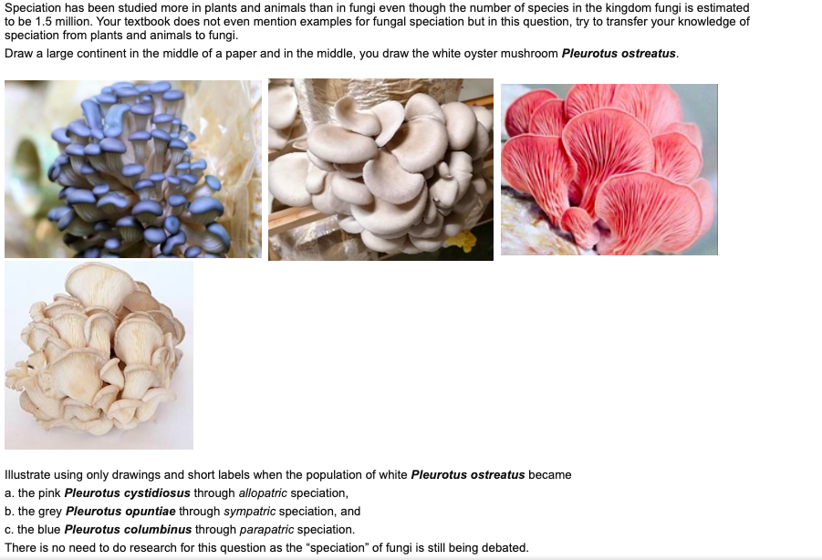 examples of kingdom fungi organisms