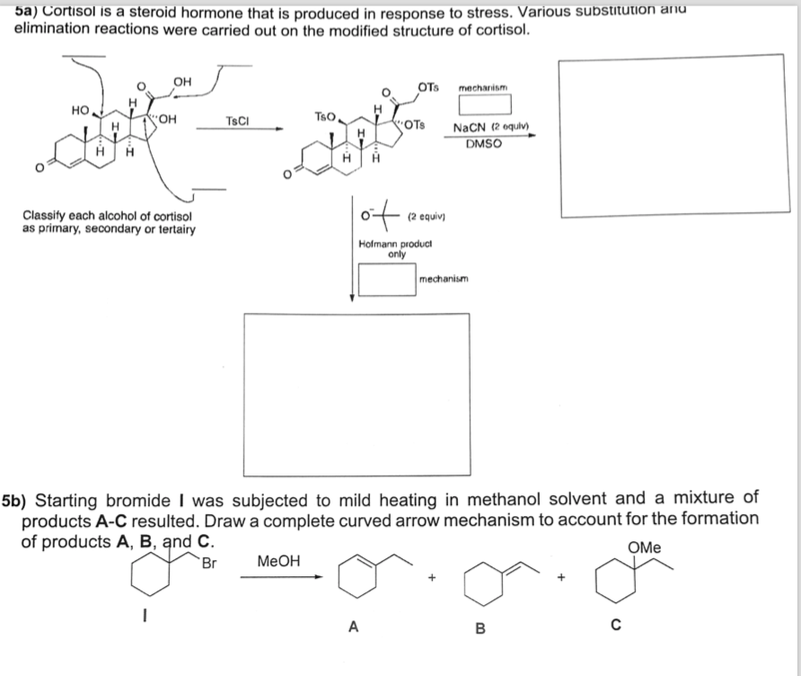 Solved 5a) Cortisol is a steroid hormone that is produced in | Chegg.com