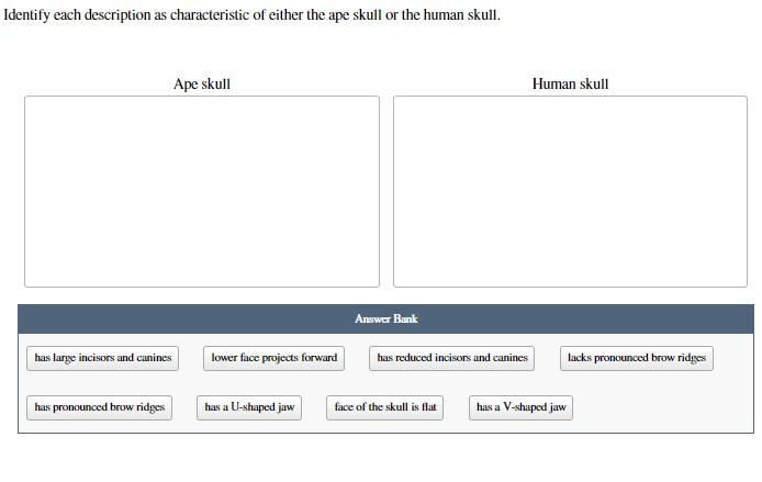 Solved Identify each description as characteristic of either | Chegg.com