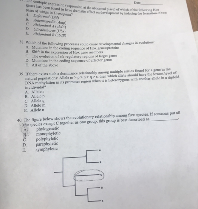 Solved Please answer all questions on this page . ALL | Chegg.com