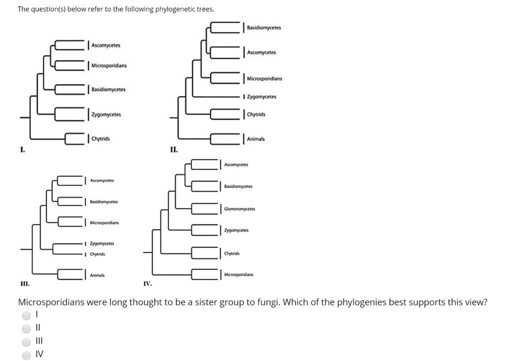 Solved The Question(s) Below Refer To The Following Phylo