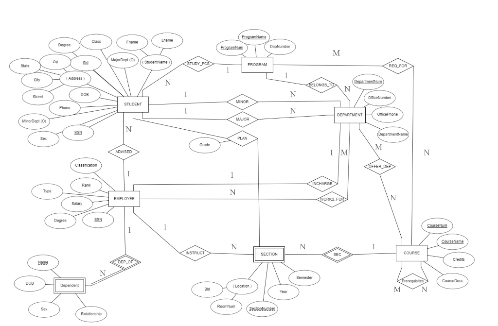 Solved Design the conceptual schema of the university | Chegg.com