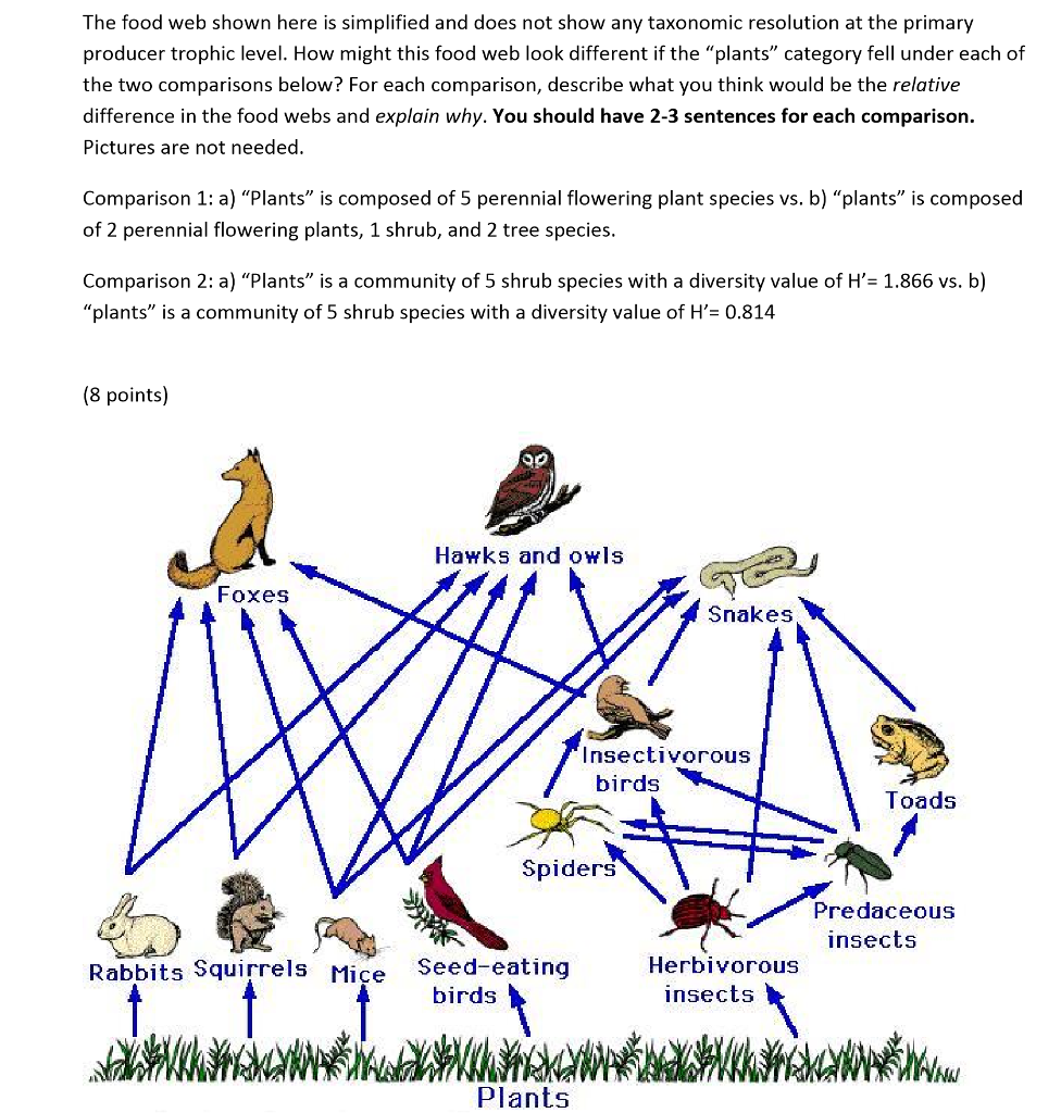 Solved The food web shown here is simplified and does not | Chegg.com