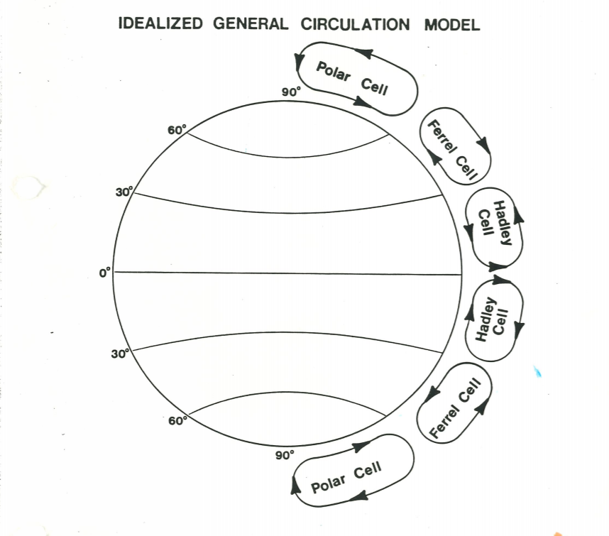 Ferrel cell  Atmospheric Circulation, Global Wind Patterns & Jet