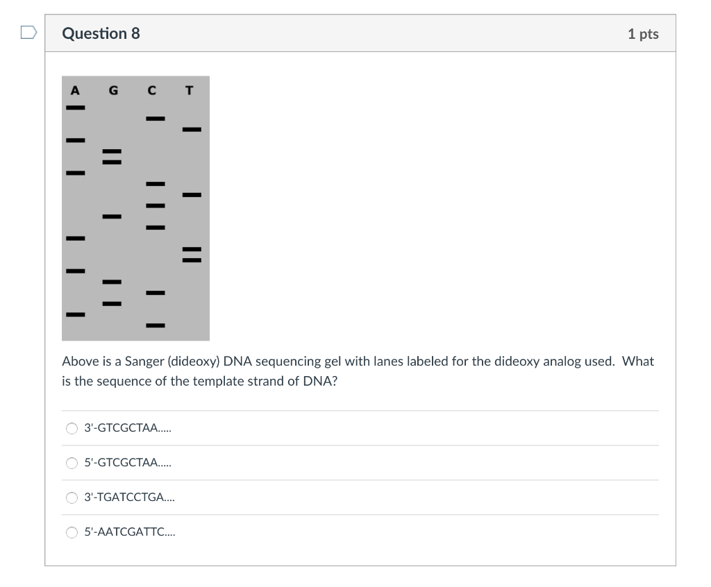 Solved Question 7 1 pts A G C T Above is a Sanger (dideoxy)