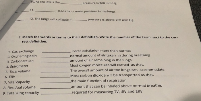 chapter 7.10 respiratory system assignment sheet answers