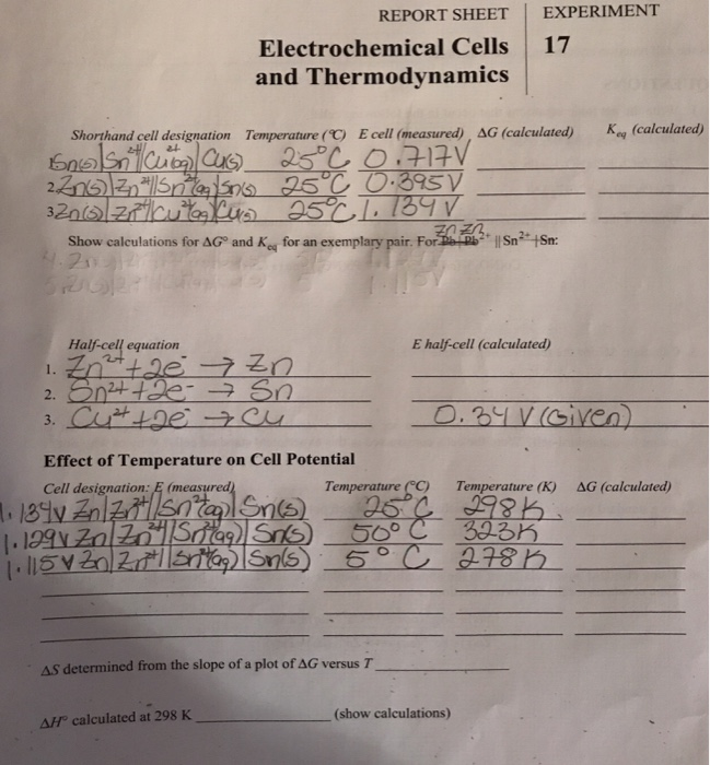 electrochemical cell experiment lab report