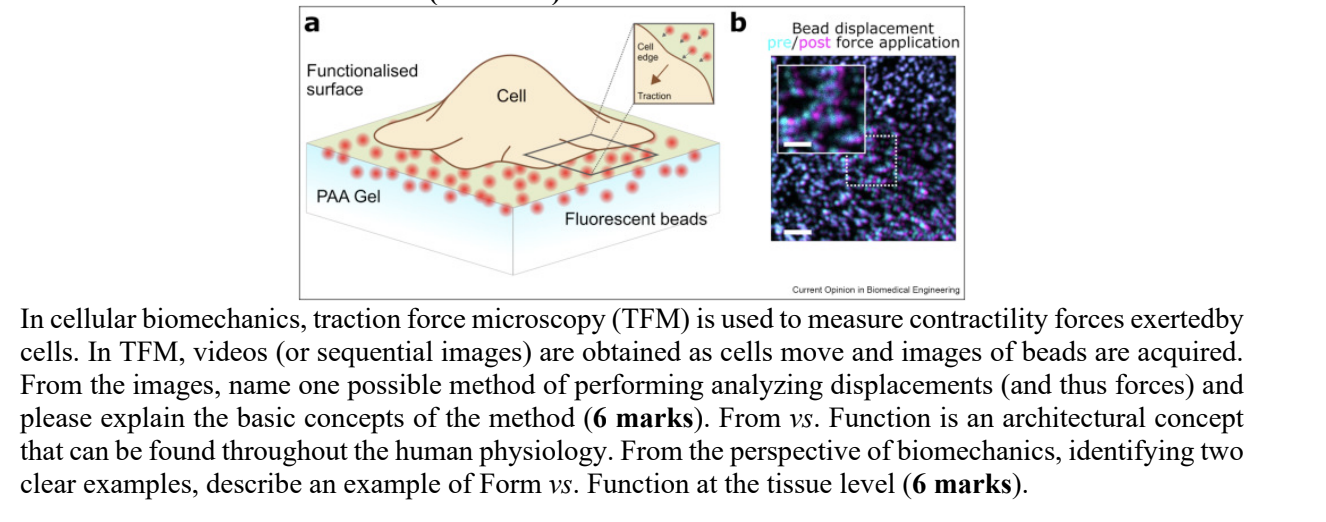 Solved In cellular biomechanics, traction force microscopy