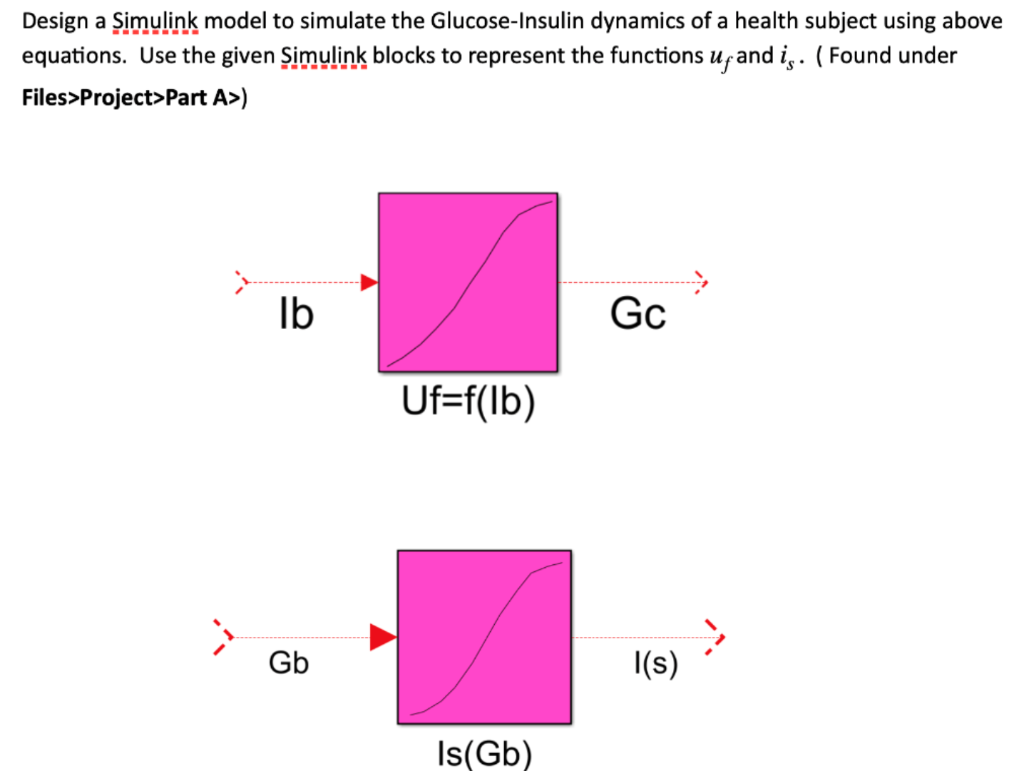Glucose-Insulin regulation the human body and glucose | Chegg.com