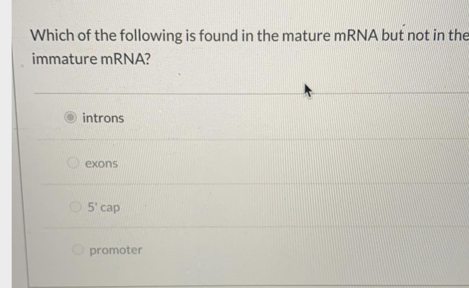 Solved Which of the following is found in the mature mRNA | Chegg.com