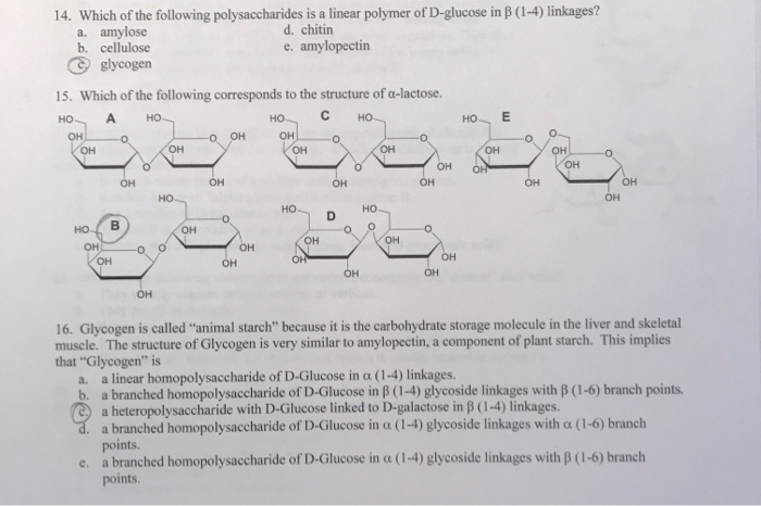 Select All Of The Following That Are Polysaccharides. Solved 14. Which of the following polysaccharides is a | Chegg.com