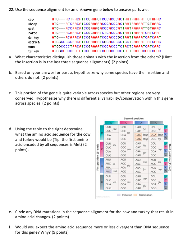 22 Use The Sequence Alignment For An Unknown Gene Chegg Com