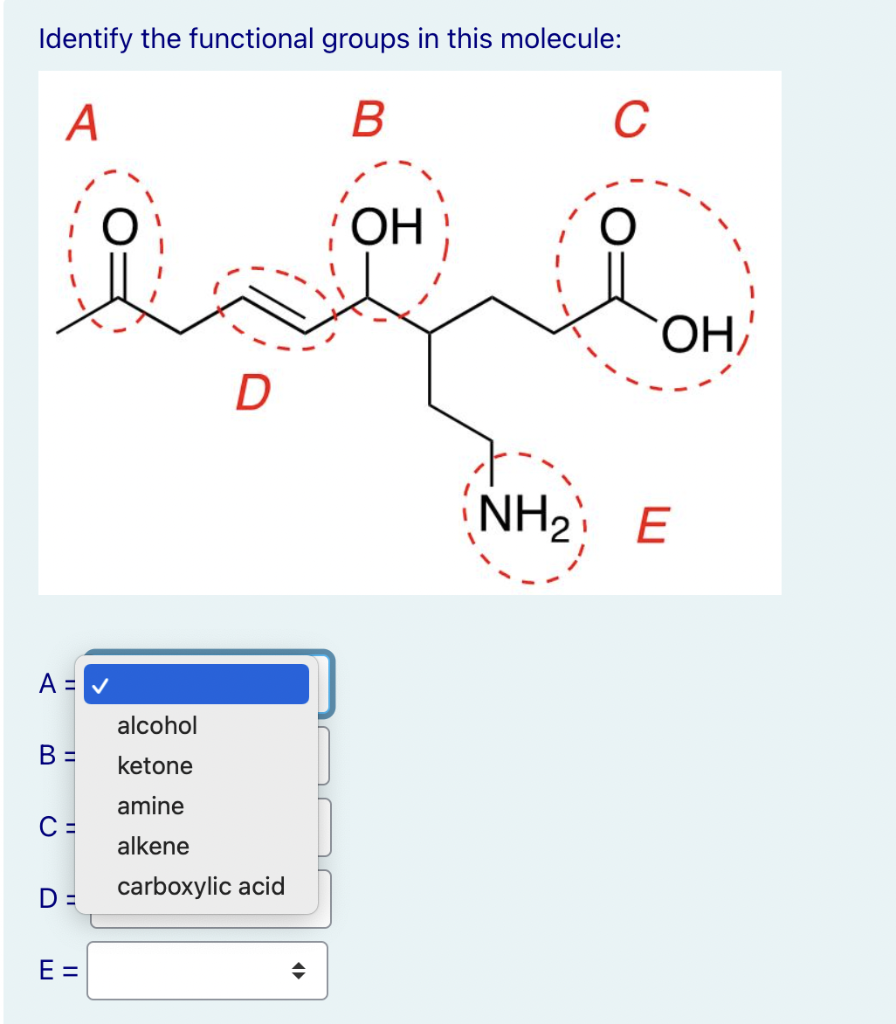 EASY WAY TO IDENTIFY FUNCTIONAL GROUPS visual data 4