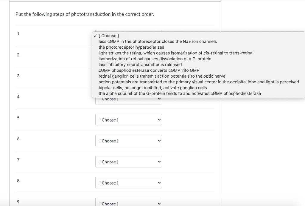 Solved Put The Following Steps Of Phototransduction In The Chegg Com