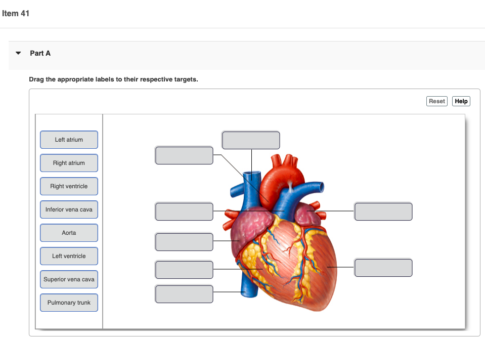 Solved Item 41 Part A Drag the appropriate labels to their