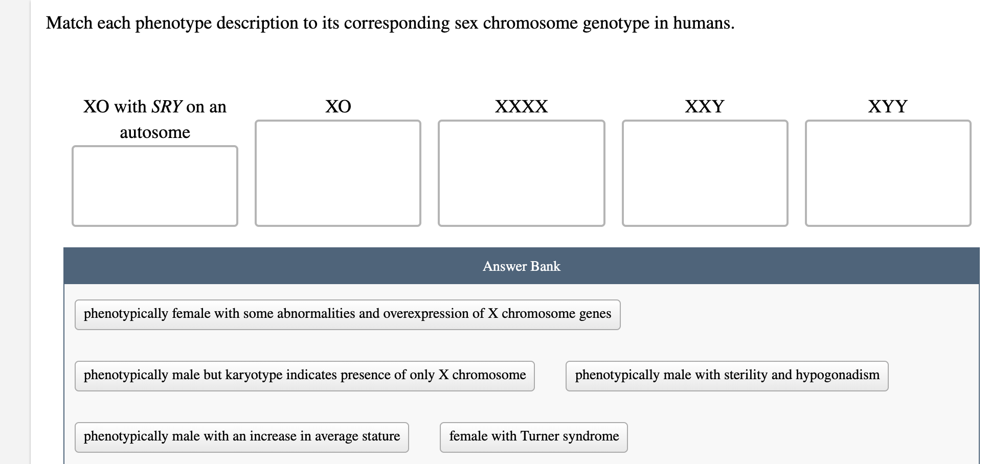 Xxxx chromosome