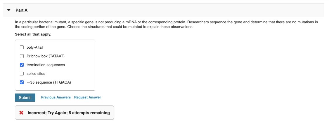 Solved Part A In a particular bacterial mutant, a specific | Chegg.com