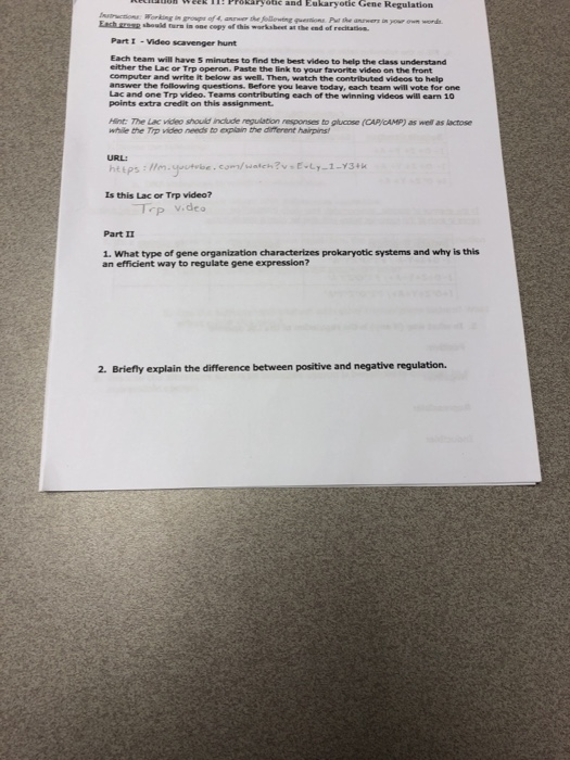 Latest Regulation: Prokaryotic Gene Regulation Worksheet Answers