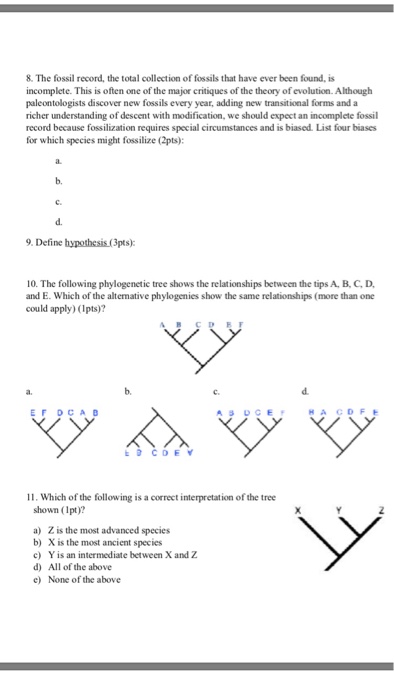 Solved: Introduction To Evolution Worksheet 1 Name & ID Pr... | Chegg.com