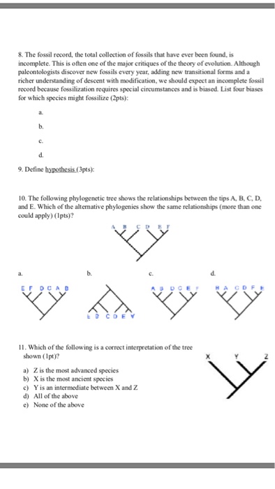 Solved Introduction To Evolution Worksheet 1 Name & ID Print | Chegg.com