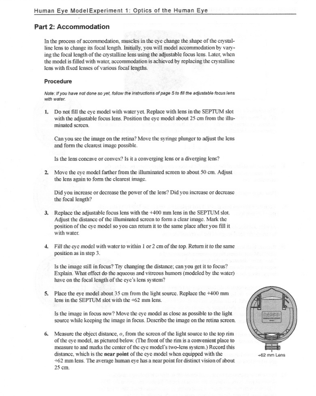 Solved Human Eye ModelExperiment 1: Optics of the Human Eye | Chegg.com