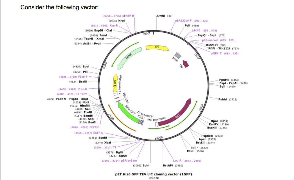 Solved QUESTION Integrate your knowledge of DNA recombinant | Chegg.com