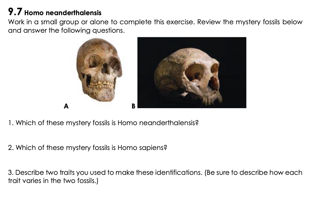 Solved 9.7 Homo neanderthalensis Work in a small group or | Chegg.com