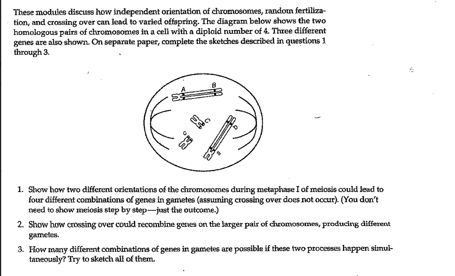 Solved These modules discuss how independent orientation of | Chegg.com