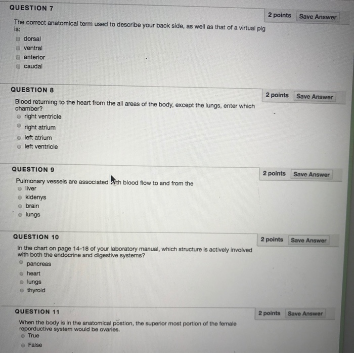 Solved QUESTION 7 2 points Save Answer The correct | Chegg.com
