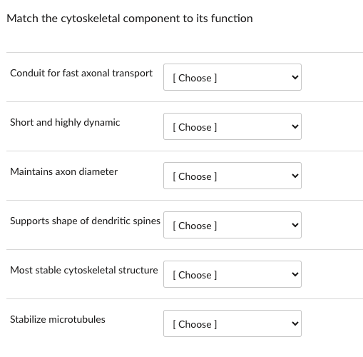 Solved Match the cytoskeletal component to its function | Chegg.com