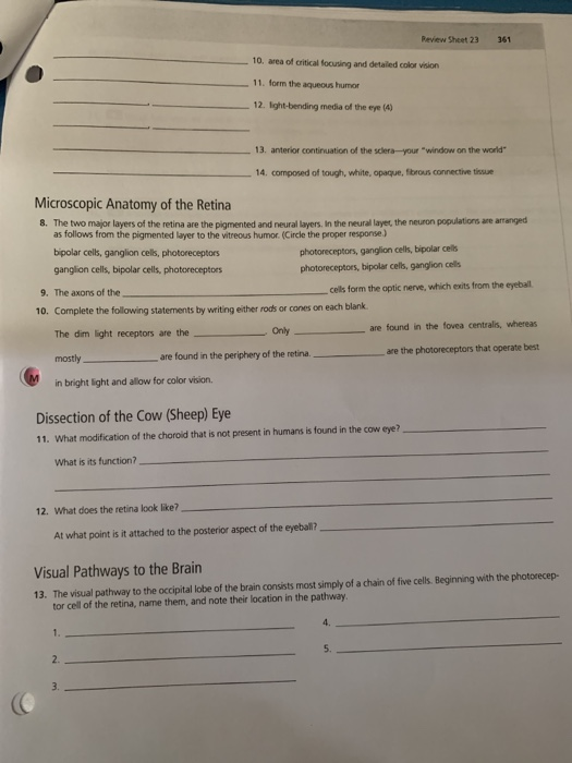 Solved Review Sheet 23 361 10. area of critical focusing and | Chegg.com