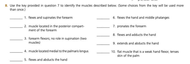 Solved Key provided in question 7 a. biceps brachii b. | Chegg.com