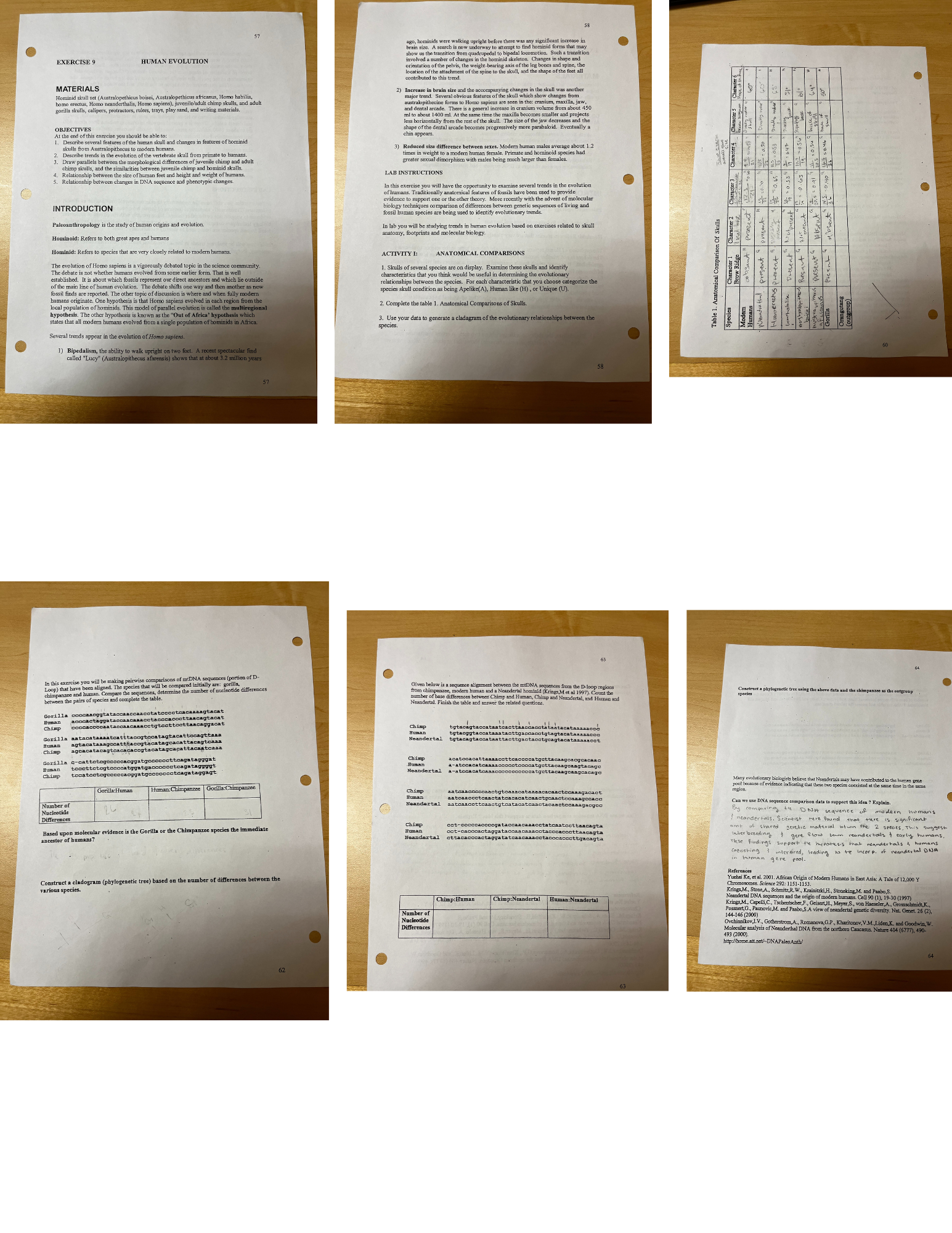 Solved I really don't understand how to complete this lab. I | Chegg.com