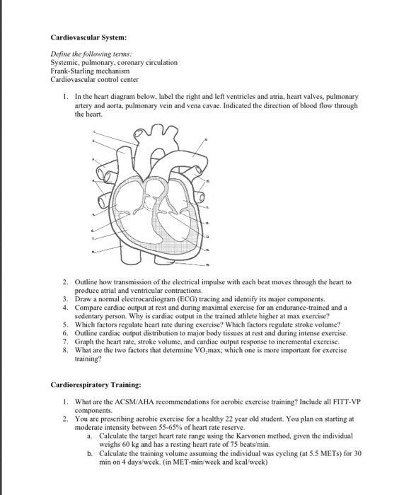 Solved Cardiovascular System: Define the following ter | Chegg.com