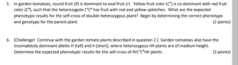 Solved 5. In garden tomatoes, round fruit (R) is dominant to | Chegg.com