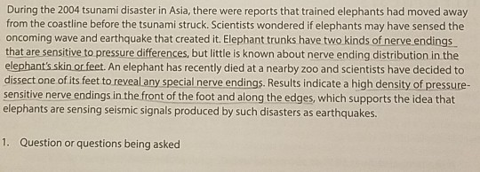 During The 2004 Tsunami Disaster In Asia There We Chegg Com